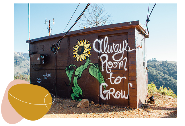 Mural with sunflowers and the text 'Always Room to Grow' on the side of a building, with decorative abstract shapes overlaid.